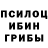 Псилоцибиновые грибы Psilocybine cubensis Lin Chu