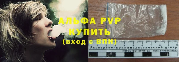 прущие грибы Гусиноозёрск