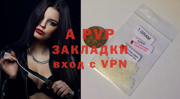 прущие грибы Гусиноозёрск