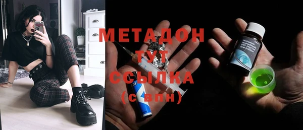 прущие грибы Гусиноозёрск