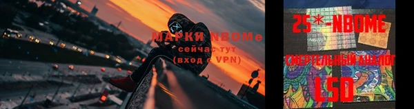 прущие грибы Гусиноозёрск
