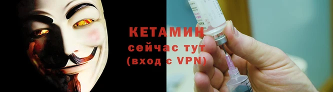 прущие грибы Гусиноозёрск