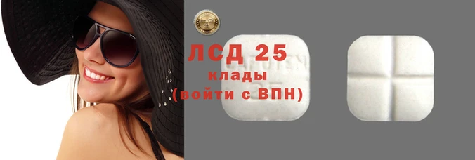 прущие грибы Гусиноозёрск