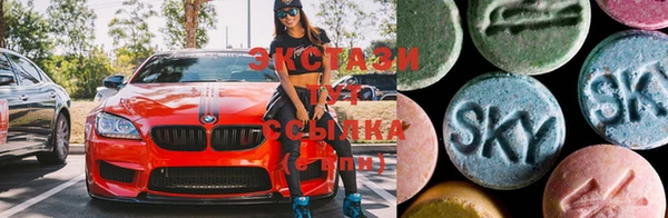 прущие грибы Гусиноозёрск