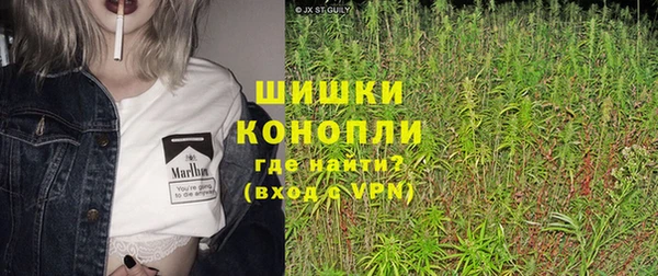 прущие грибы Гусиноозёрск