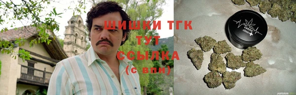 СК Гусев