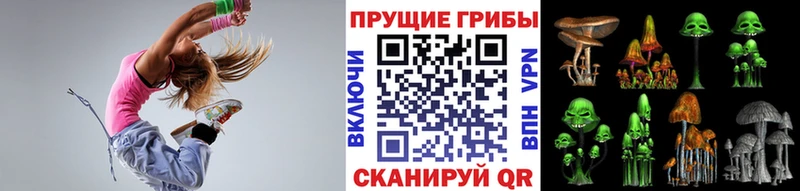 Галлюциногенные грибы прущие грибы Красноярск