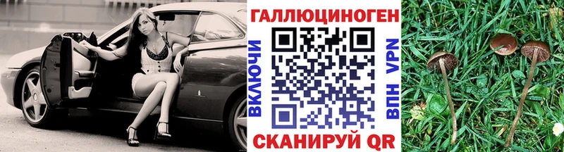 Галлюциногенные грибы прущие грибы  где купить   Красноярск 